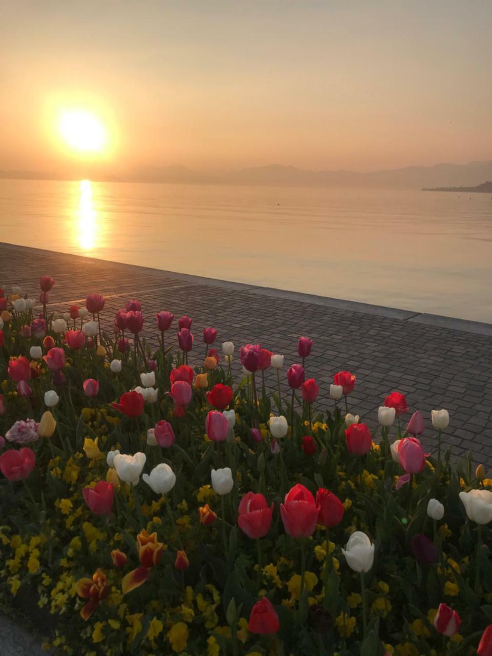 Residence Ca Di Capri Bussolengo Dış mekan fotoğraf